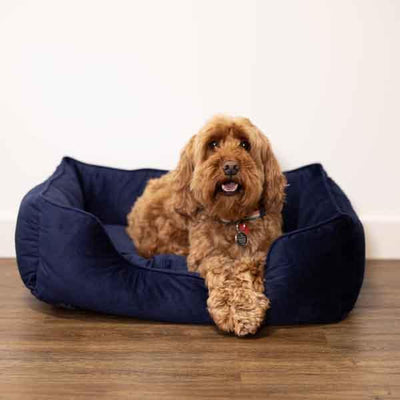 VELVET NAVY BOX BED