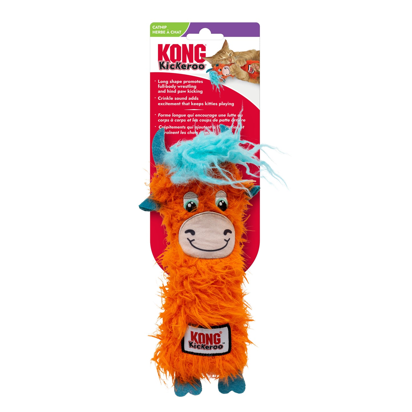KICKEROO HIGHLAND COW