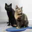 BATTERSEA FISH SHAPED CAT