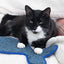 BATTERSEA FISH SHAPED CAT