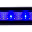 AQ-LUX FRESH LAMP
