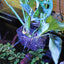 PLANT BASKET
