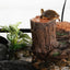 REPTIZOO TURTLE FILTER TREE