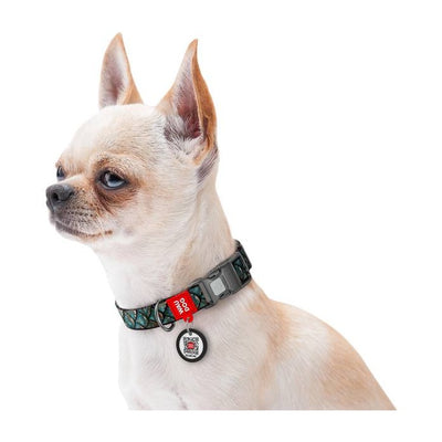 WOWDOG NYLON DOG COLLAR WITH QR-PASSPORT SCALES