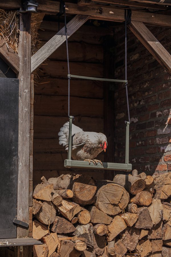 CHICKEN SWING 100% RECYCLED