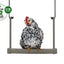 CHICKEN SWING 100% RECYCLED