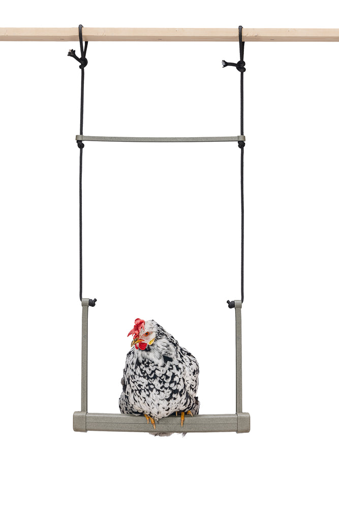 CHICKEN SWING 100% RECYCLED