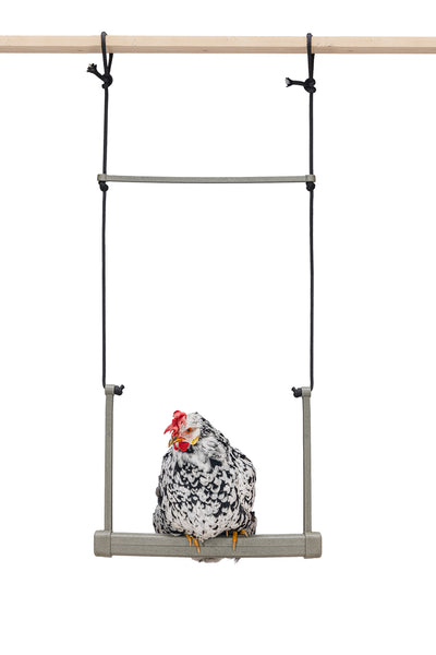 CHICKEN SWING 100% RECYCLED