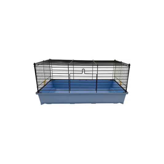 LEO CAVIA 2