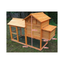 CHICKEN HOUSE FOREST