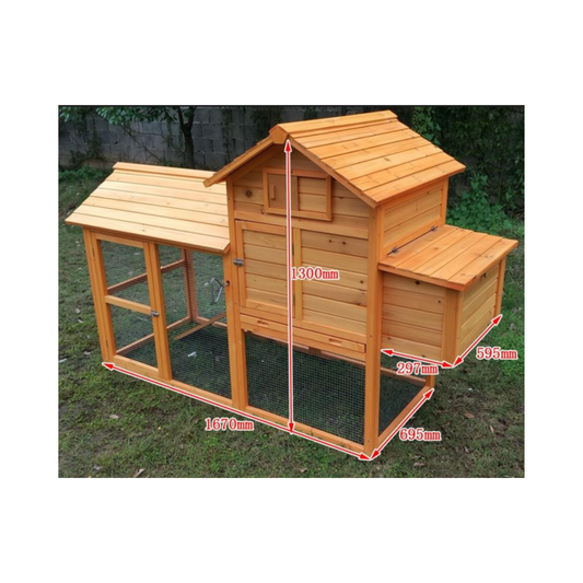 CHICKEN HOUSE FOREST