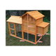 CHICKEN HOUSE FOREST
