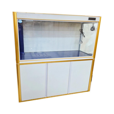 AQUARIUM DXL