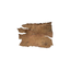 TURTLE BARK