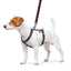 WAUDOG NYLON DOG H-HARNESS WITH QR-PASSPORT, ORANGES DESIGN, PLASTIC FASTEX