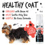 NO RINSE FLEA & TICK SHAMPOO FOR DOGS 210ML