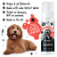 NO RINSE FLEA & TICK SHAMPOO FOR DOGS 210ML