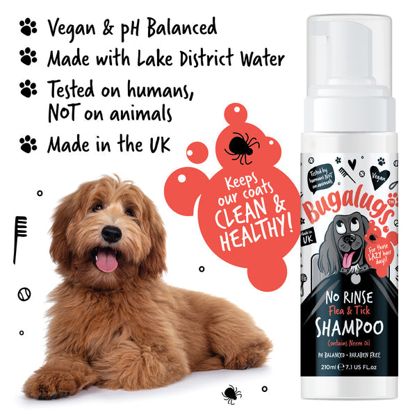 NO RINSE FLEA & TICK SHAMPOO FOR DOGS 210ML
