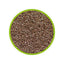 ARTEMIA BRINE SHRIMP EGGS