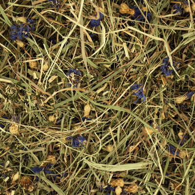 HERBAL HAY – CORNFLOWER & NETTLE 600g