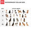 WAUDOG WATERPROOF DOG COLLAR