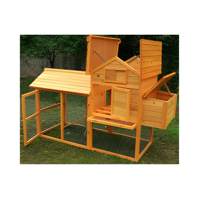 CHICKEN HOUSE FOREST