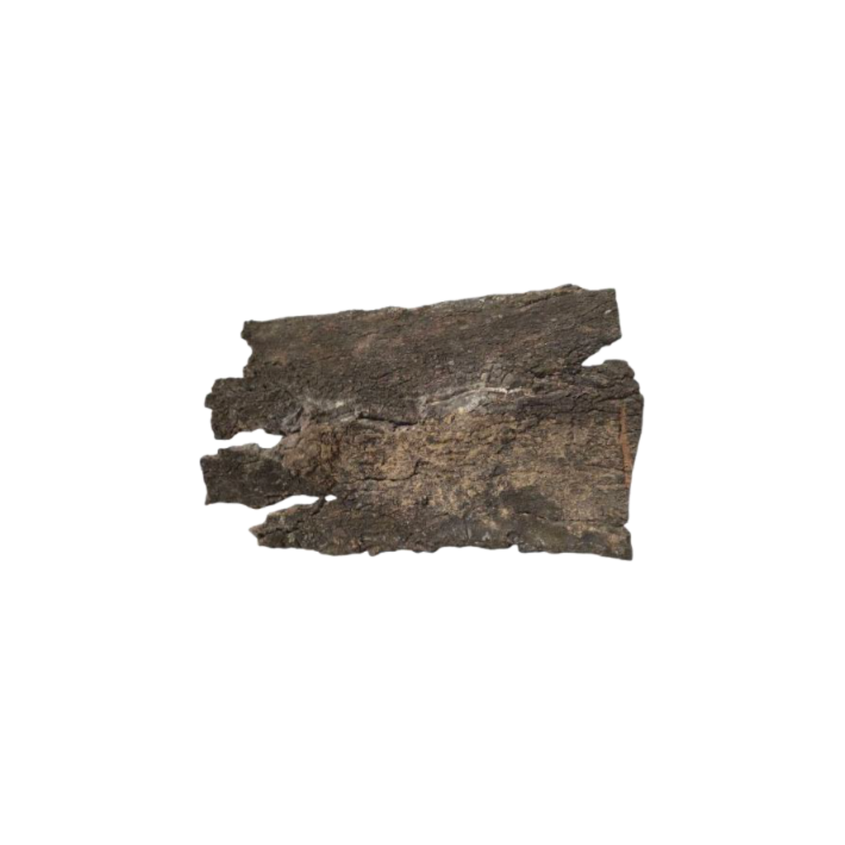 Turtle Shells Tree Bark TURTLE BARK – Petsland.cy