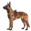 WAUDOG NYLON DOG HARNESS WITH QR PASSPORT SUMMER BLUE DESIGN