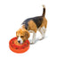 LICKS MEALTIME LARGE Ø27.3cm
