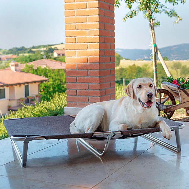 DREAM DOG BED