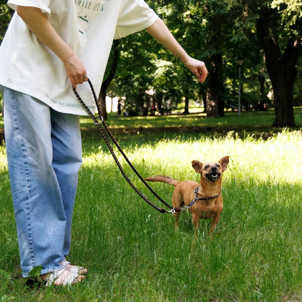 FERPLAST TWIST LEASH BROWN