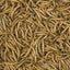 MEAL WORMS 250ml/30g