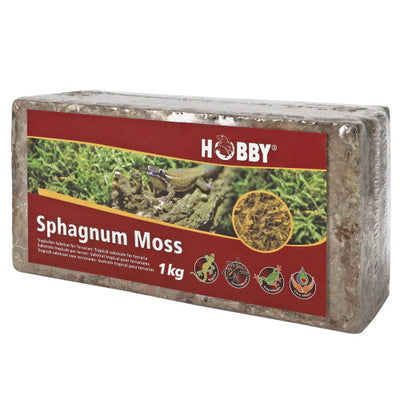 SPHAGNUM MOSS