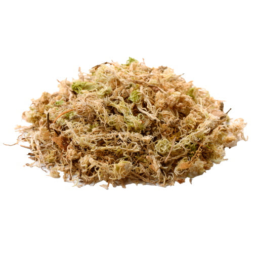 SPHAGNUM MOSS 100γρ