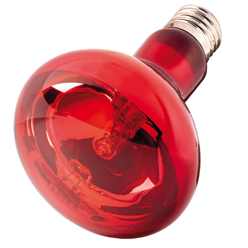INFRARED LIGHT ECO