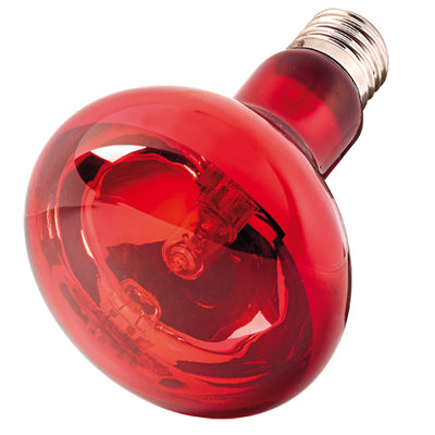 INFRARED LIGHT ECO