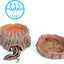 3 in 1 REPTILE HIDE CAVE