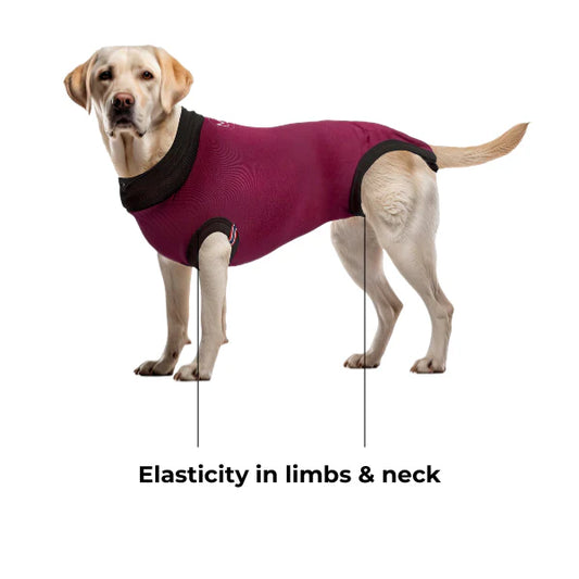 MAXX DOG RECOVERY PET SUIT