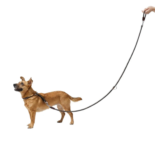 FERPLAST TWIST LEASH BROWN
