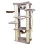 CAT TREE CAMBRIDGE