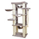 CAT TREE CAMBRIDGE