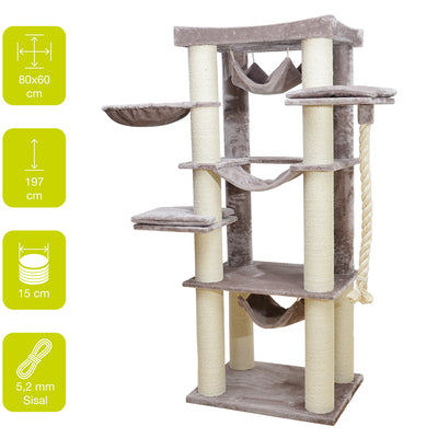 CAT TREE CAMBRIDGE