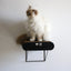 DAVID CARDBOARD WALL SHELF BROWN/BLACK