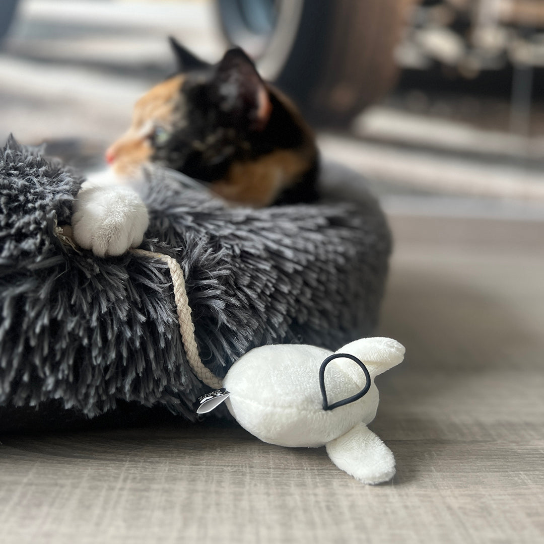 MOOSY PLAY MOUSE