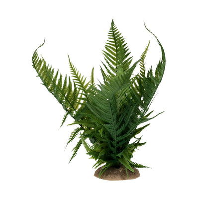 FERN GREEN MEDIUM