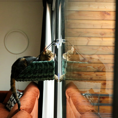 SOFIA WINDOW BED