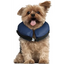INFLATABLE COLLAR FOR DOGS