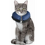 INFLATABLE COLLAR FOR DOGS