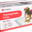 Training Pad Pady White