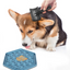 LICK PAD JELLY HEXAGON MULTIPLE COLOURS